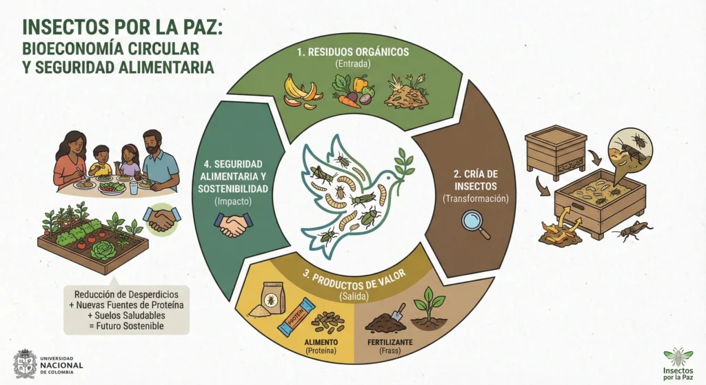 Insectos por la Paz (U. Nacional):